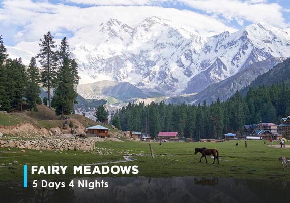 Fairy Meadows Nanga Parbat Basecamp Tour 2025