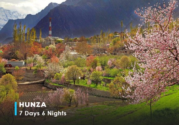 7 Days Cherry Blossom Hunza Tour