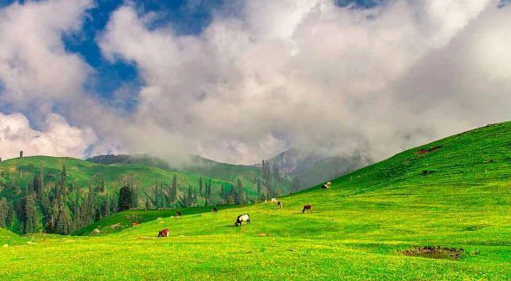 Siri Paye Meadows - Things To Do In Naran Kaghan