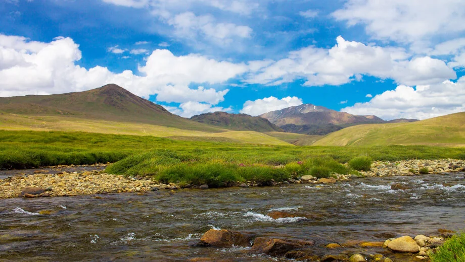 Deosai National Park