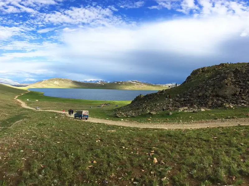 Deosai plateau in summer wildflower bloom above 4,000 metres, Gilgit-Baltistan