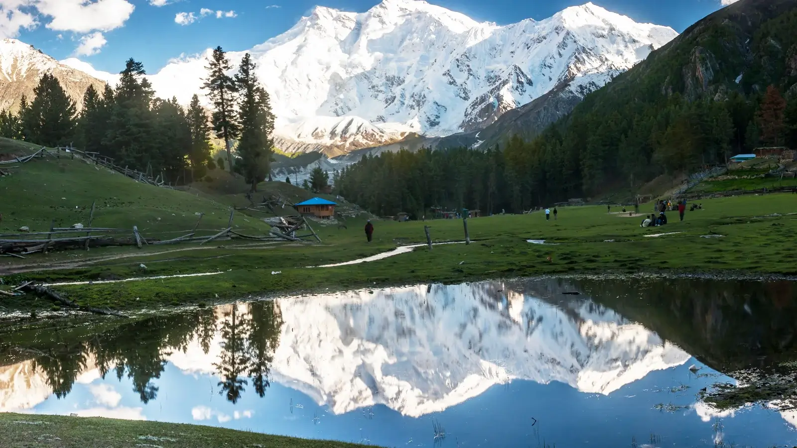 Fairy Meadows alpine meadow with the Raikot face of Nanga Parbat behind, Gilgit-Baltistan