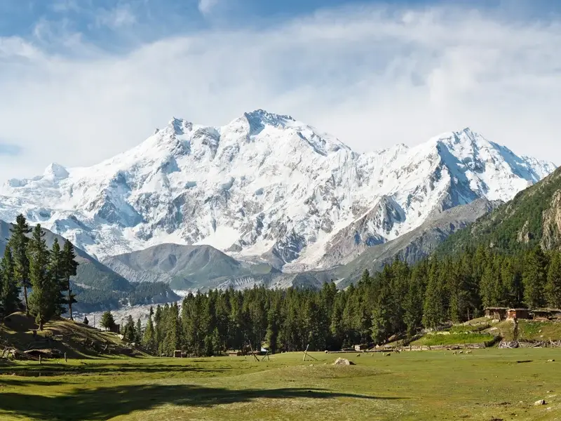 Fairy Meadows alpine meadow with the Rakhiot face of Nanga Parbat behind