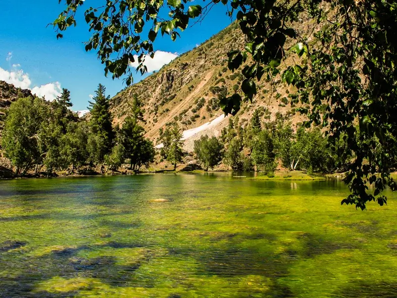 Naltar Valley lake with pine forest and snow peaks near Gilgit