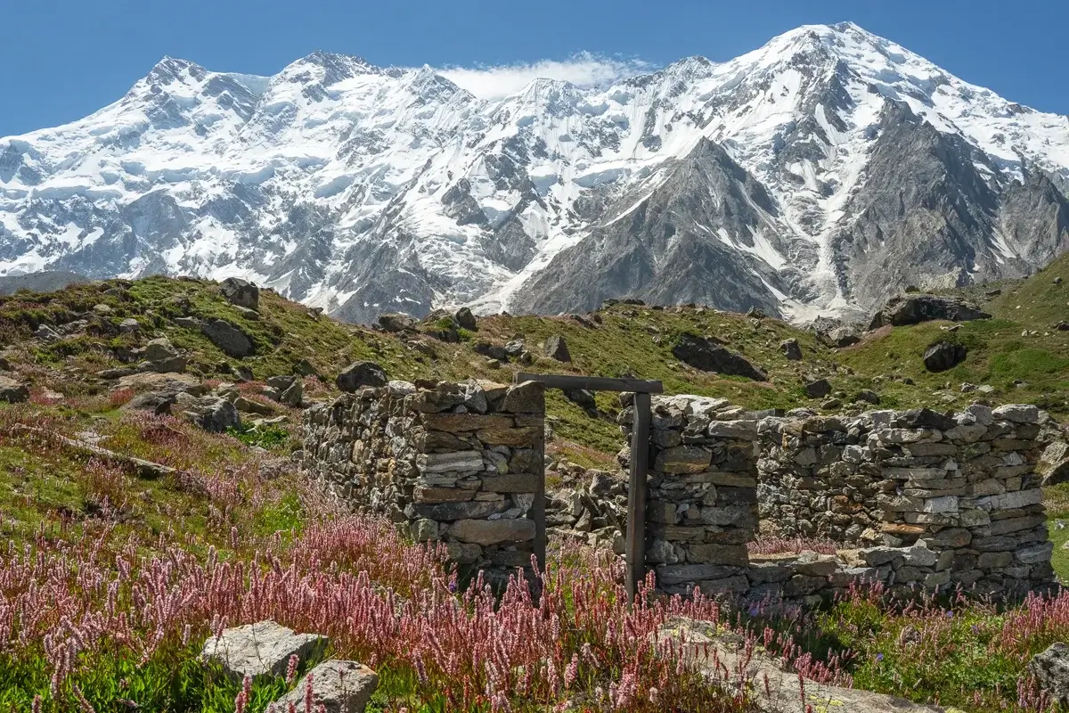 Nanga Parbat viewpoint above Beyal Camp, Raikot glacier below