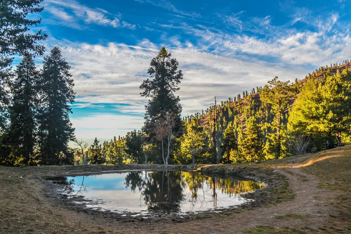 Nathia Gali town among pine forest in the Galiyat, Khyber Pakhtunkhwa