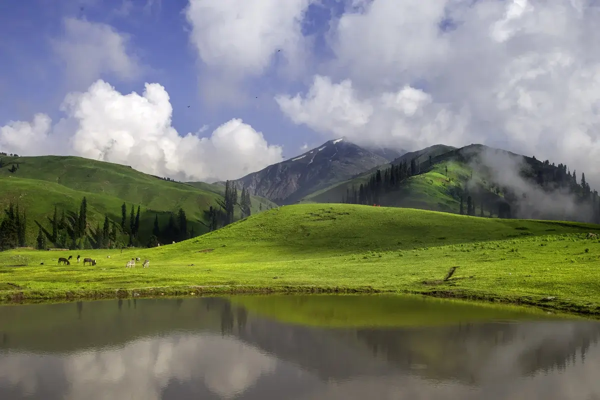 Siri Paye meadow above Shogran with Makra Peak behind, Kaghan Valley