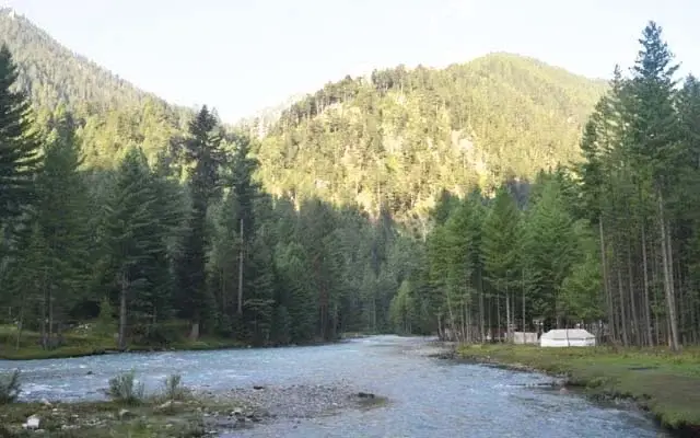 Deodar forest along the Panjkora river, Kumrat Valley