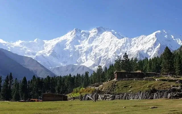 Fairy Meadows alpine meadow with Nanga Parbat behind