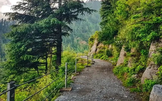 Pine-covered hills of the Galiyat between Murree and Nathia Gali