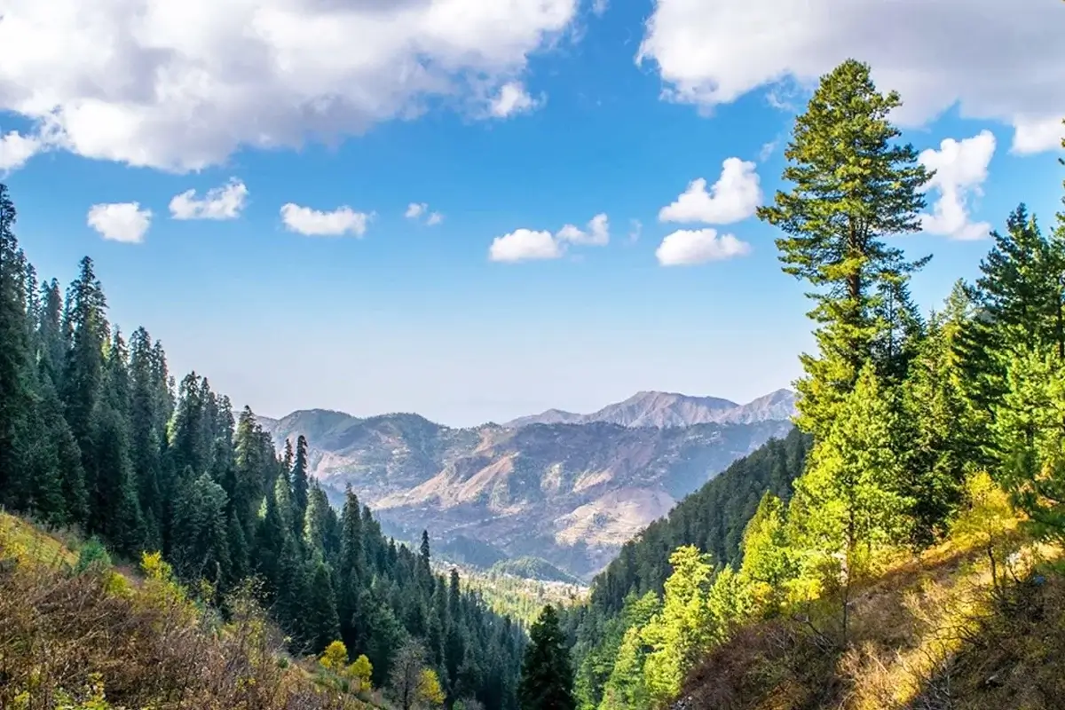 Pine-covered hills of the Galiyat between Murree and Nathia Gali
