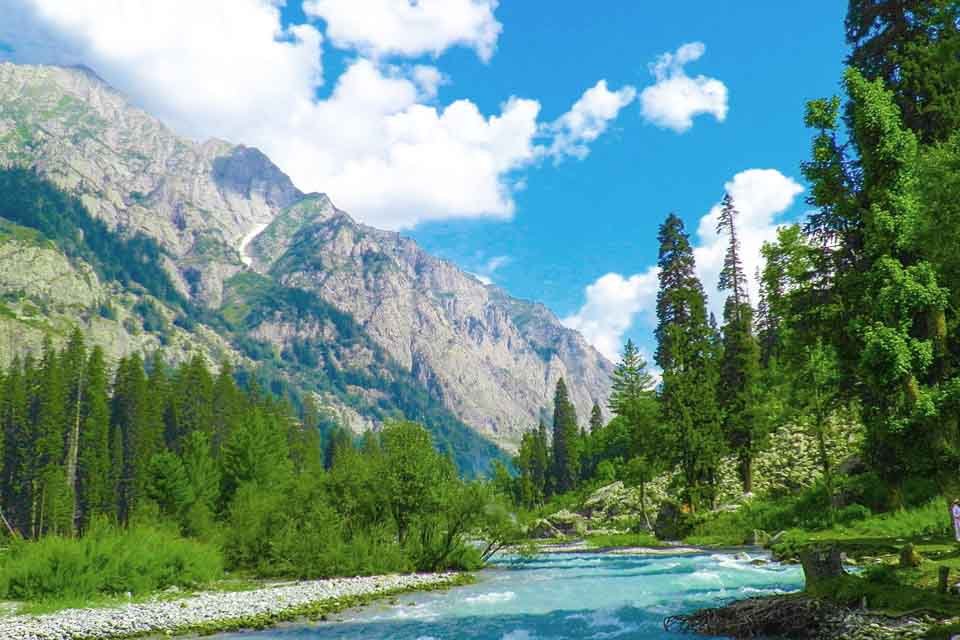 Deodar forest along the Panjkora river, Kumrat Valley, Upper Dir