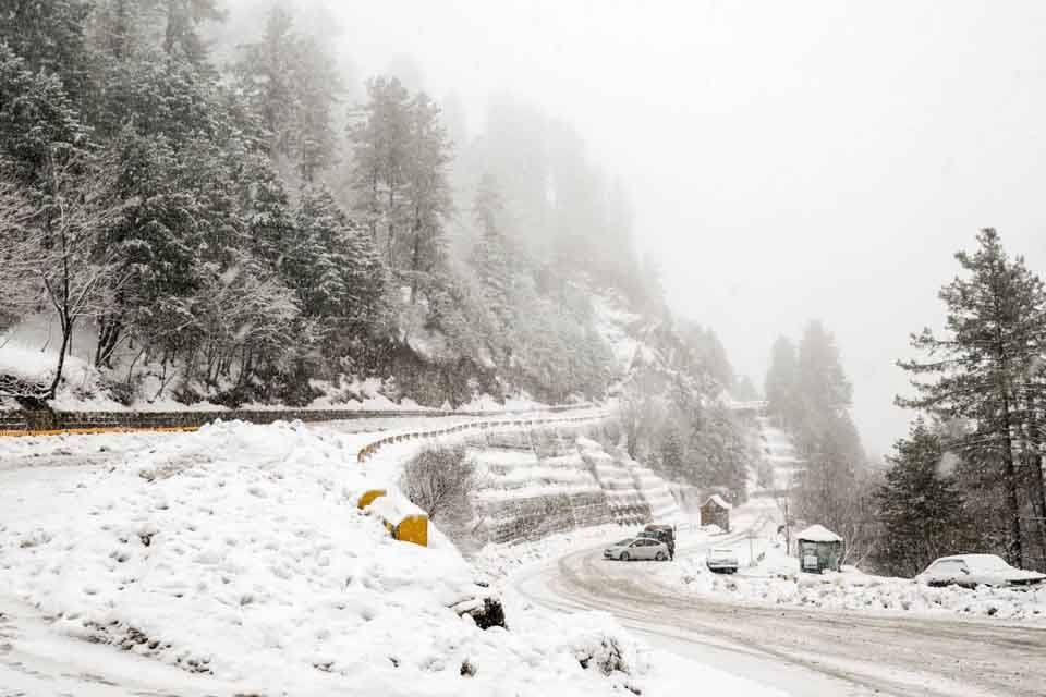 Snow on the road and pine forest in Murree in winter