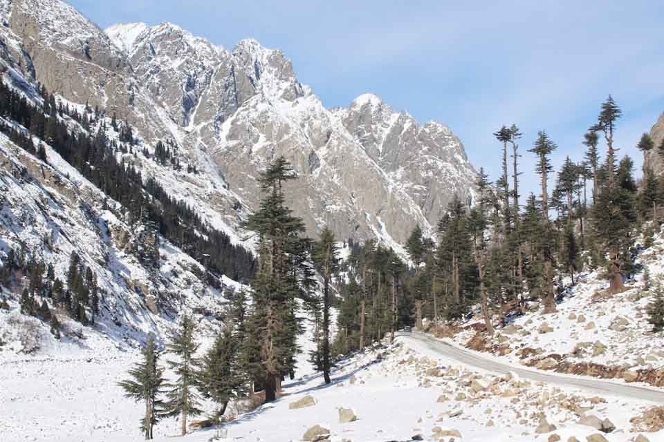 Kalam town and the Swat river surrounded by forested slopes, upper Swat
